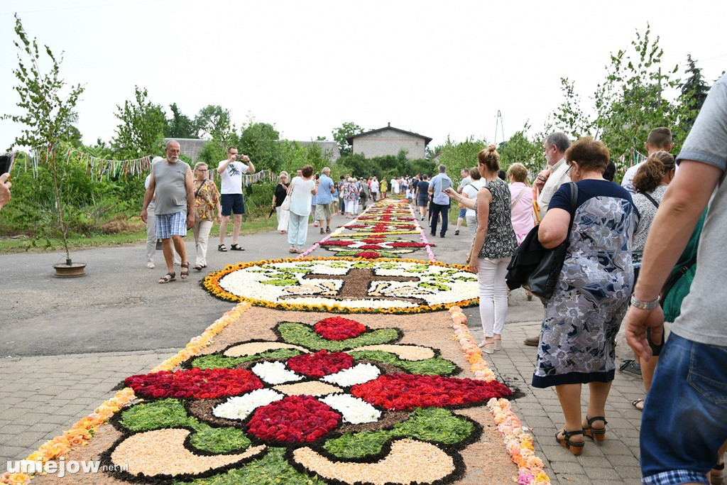 Dywany w Spycimierzu -Boże Ciało 2019