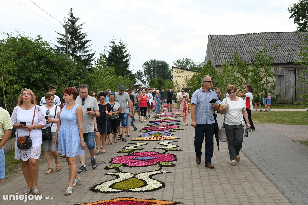 Dywany w Spycimierzu -Boże Ciało 2019
