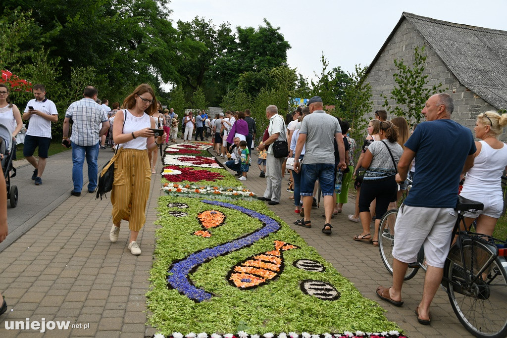 Dywany w Spycimierzu -Boże Ciało 2019