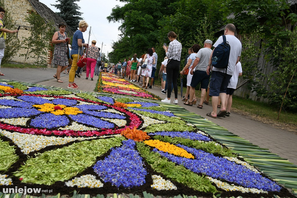 Dywany w Spycimierzu -Boże Ciało 2019