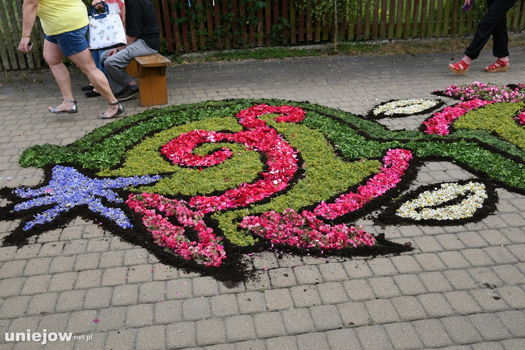 Dywany w Spycimierzu -Boże Ciało 2019