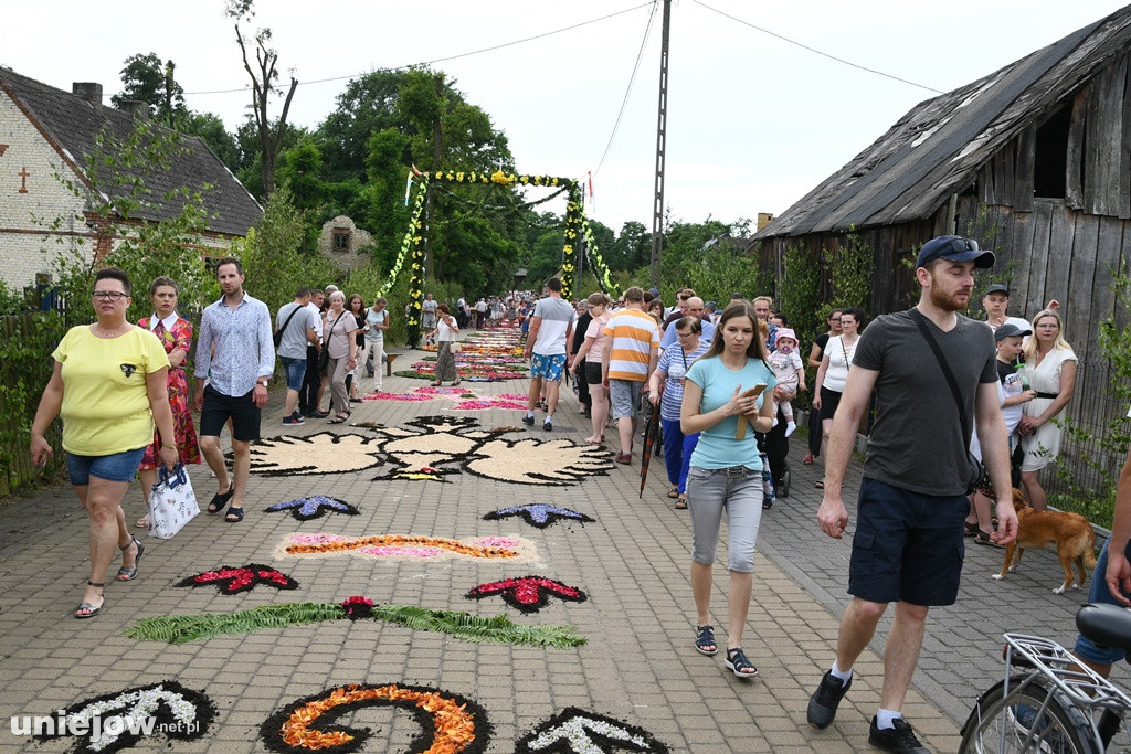 Dywany w Spycimierzu -Boże Ciało 2019