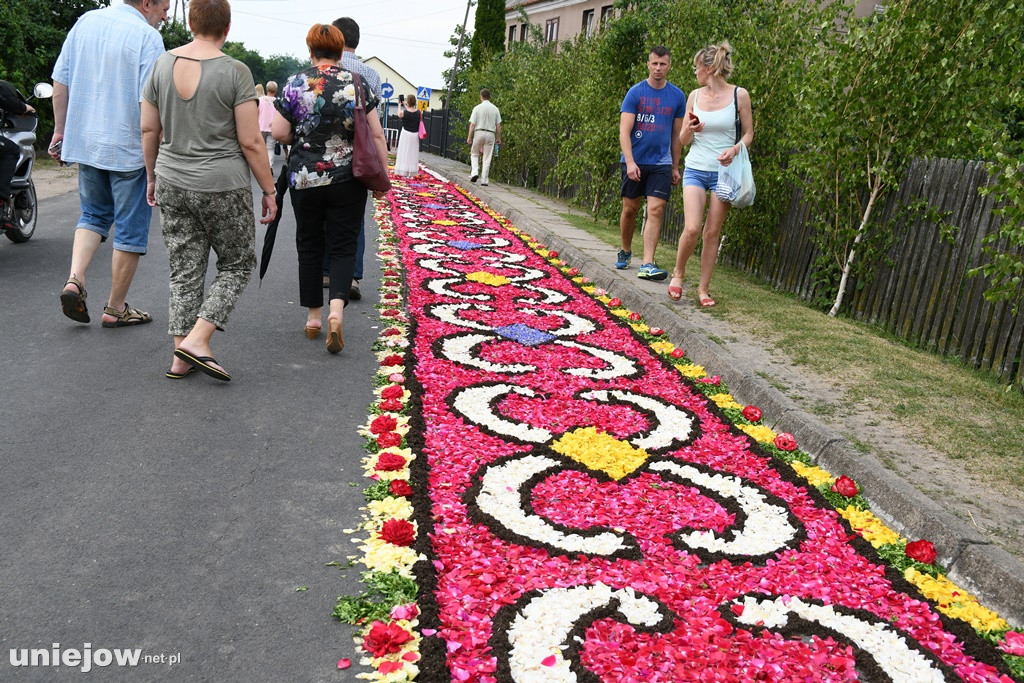 Dywany w Spycimierzu -Boże Ciało 2019