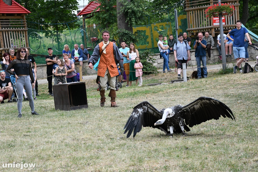 XV Wielki Turniej Rycerski