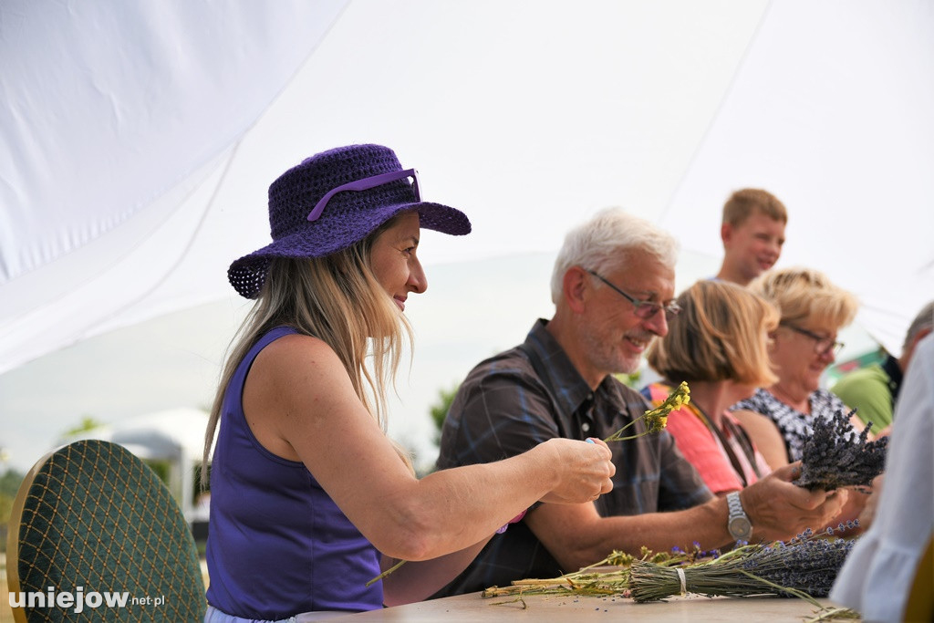 VI Festiwal Lawendy w Uniejowie