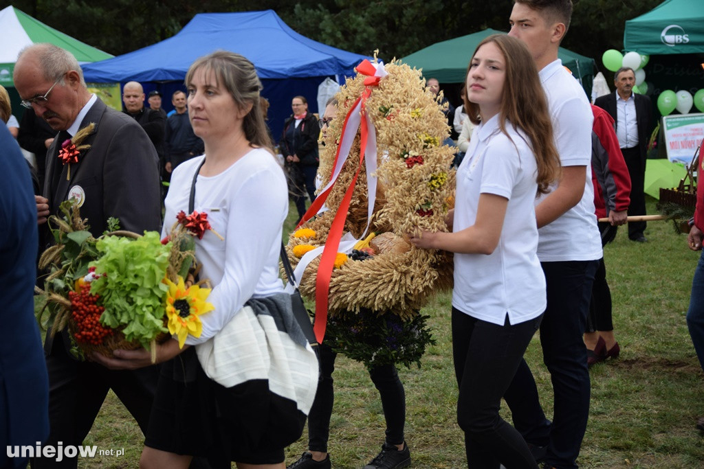 Dożynki Powiatu Poddębickiego 2019