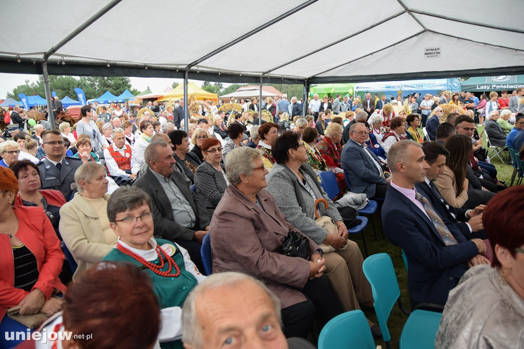 Dożynki Powiatu Poddębickiego 2019