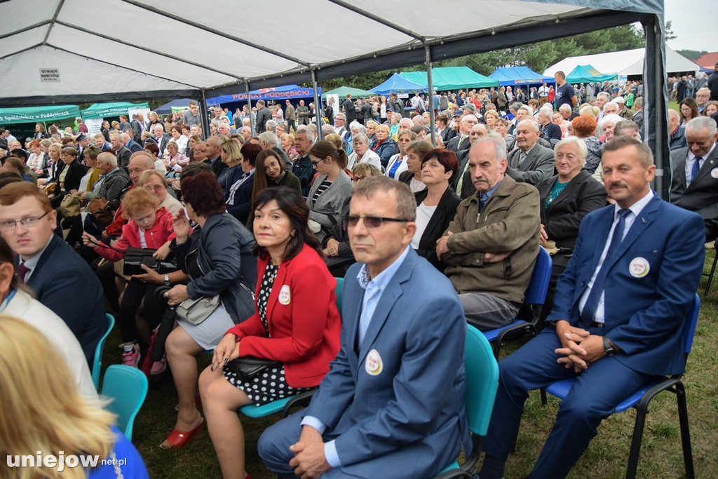 Dożynki Powiatu Poddębickiego 2019