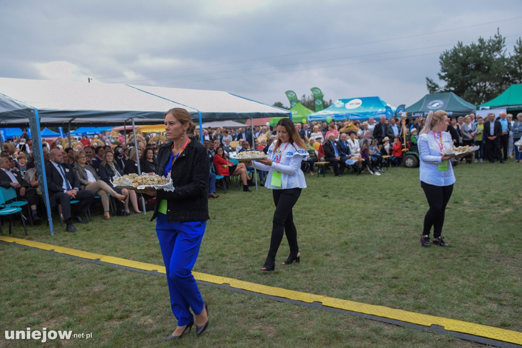 Dożynki Powiatu Poddębickiego 2019