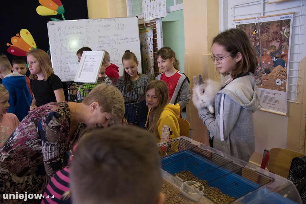 Dzień Milusińskich 2019