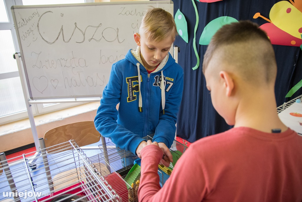 Dzień Milusińskich 2019