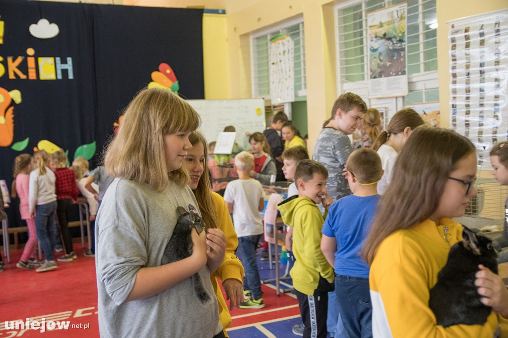 Dzień Milusińskich 2019
