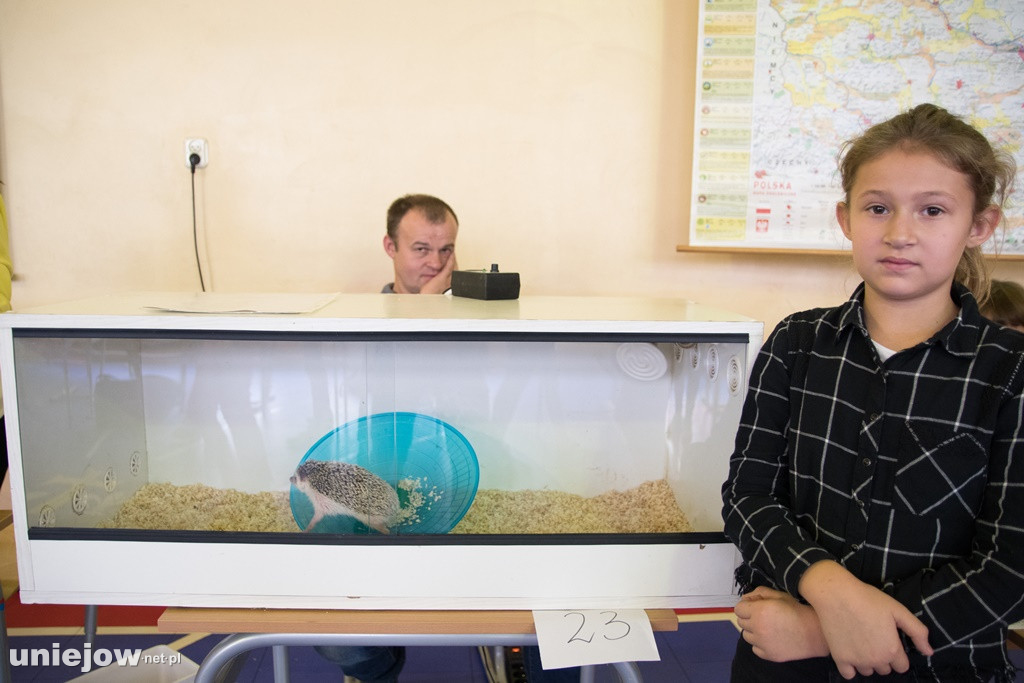 Dzień Milusińskich 2019