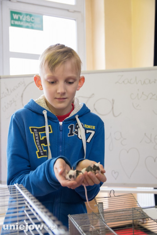 Dzień Milusińskich 2019