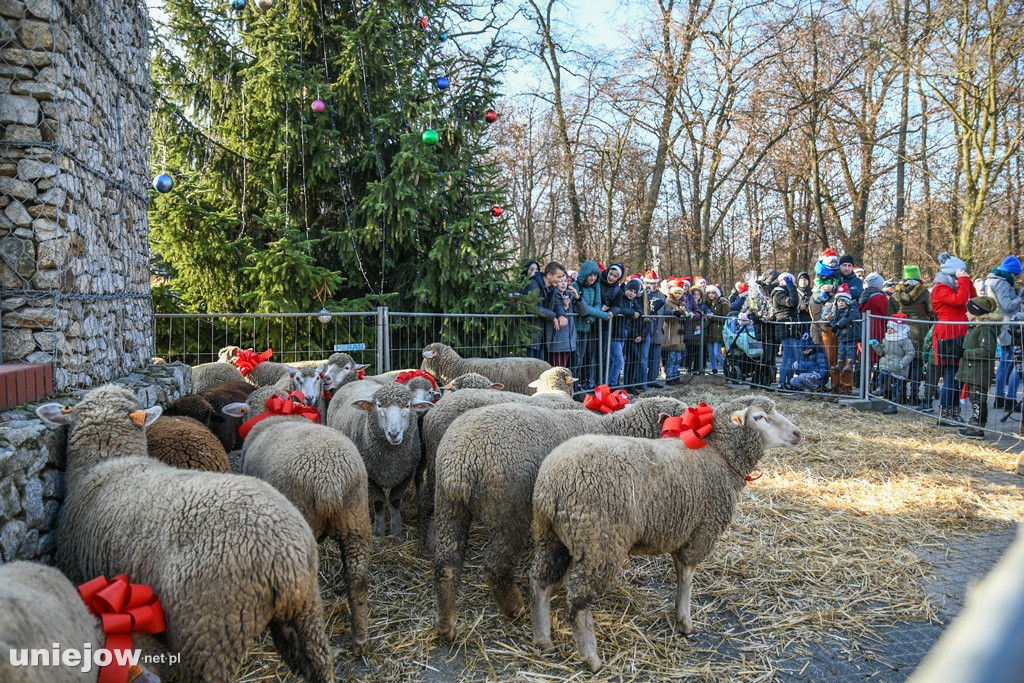 Mikołajki 2019 w Uniejowie