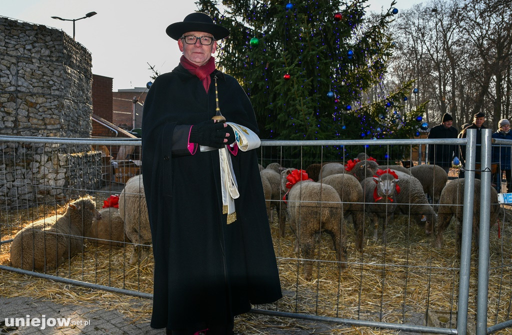 Mikołajki 2019 w Uniejowie