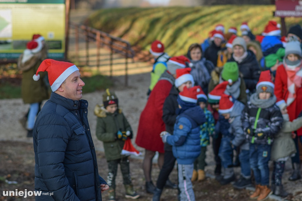 Posadzili swoje drzewka