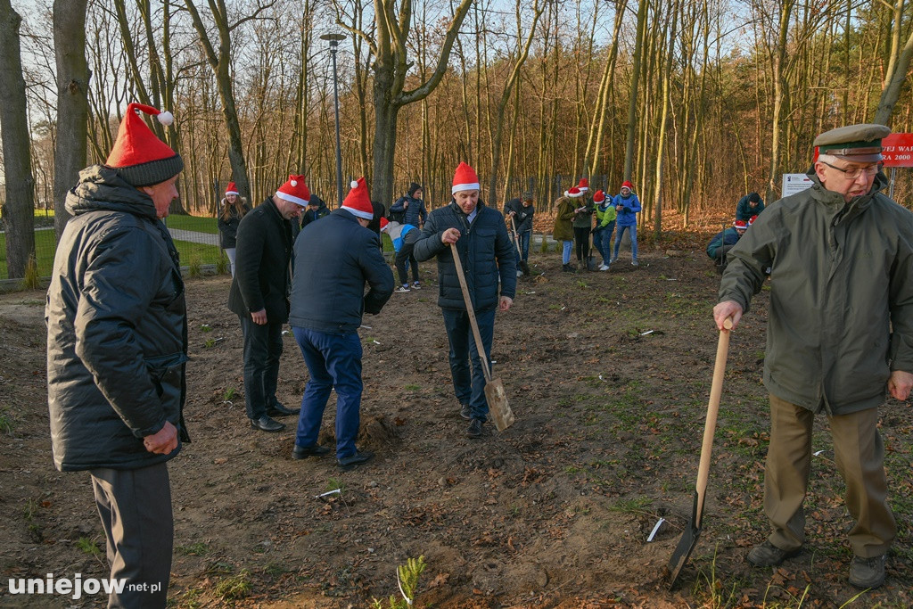 Posadzili swoje drzewka