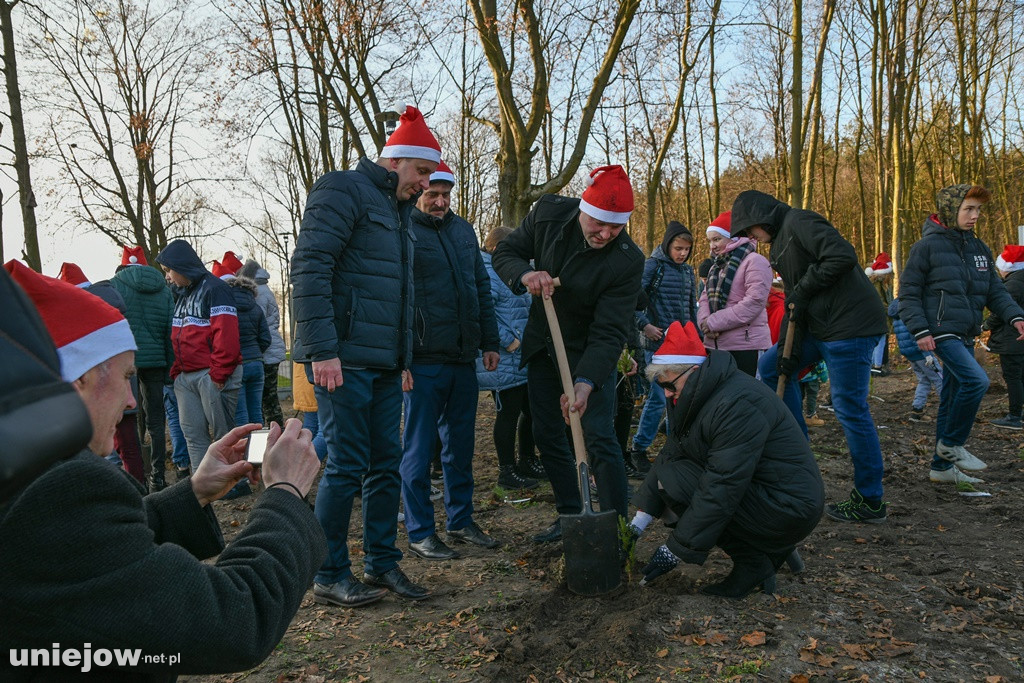 Posadzili swoje drzewka