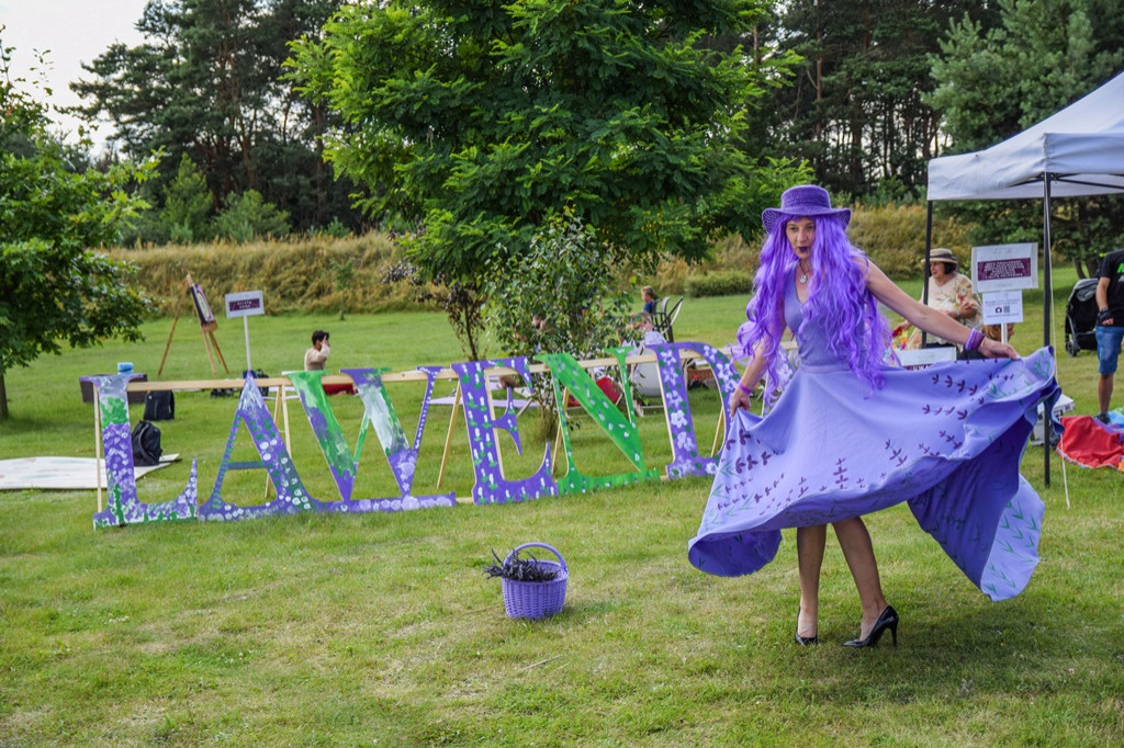 VII Festiwal Lawendy