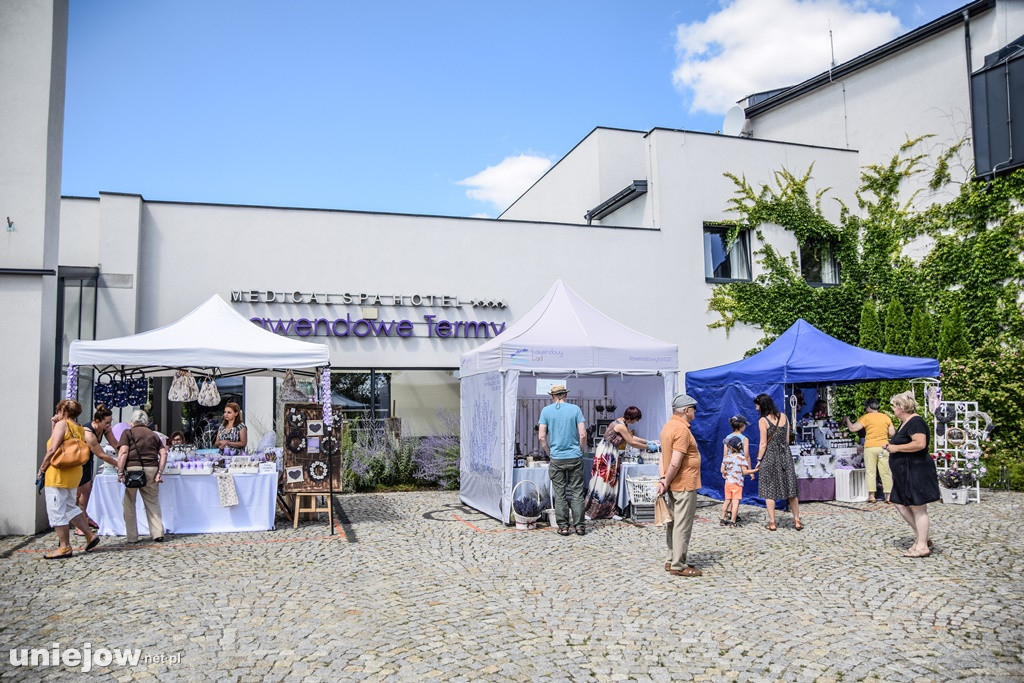 VII Festiwal Lawendy