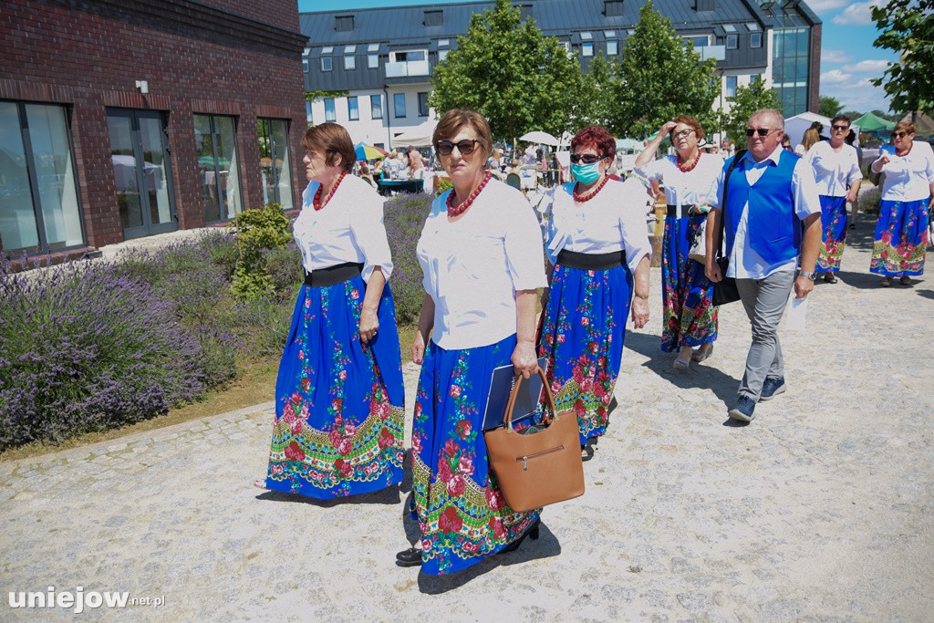 VII Festiwal Lawendy