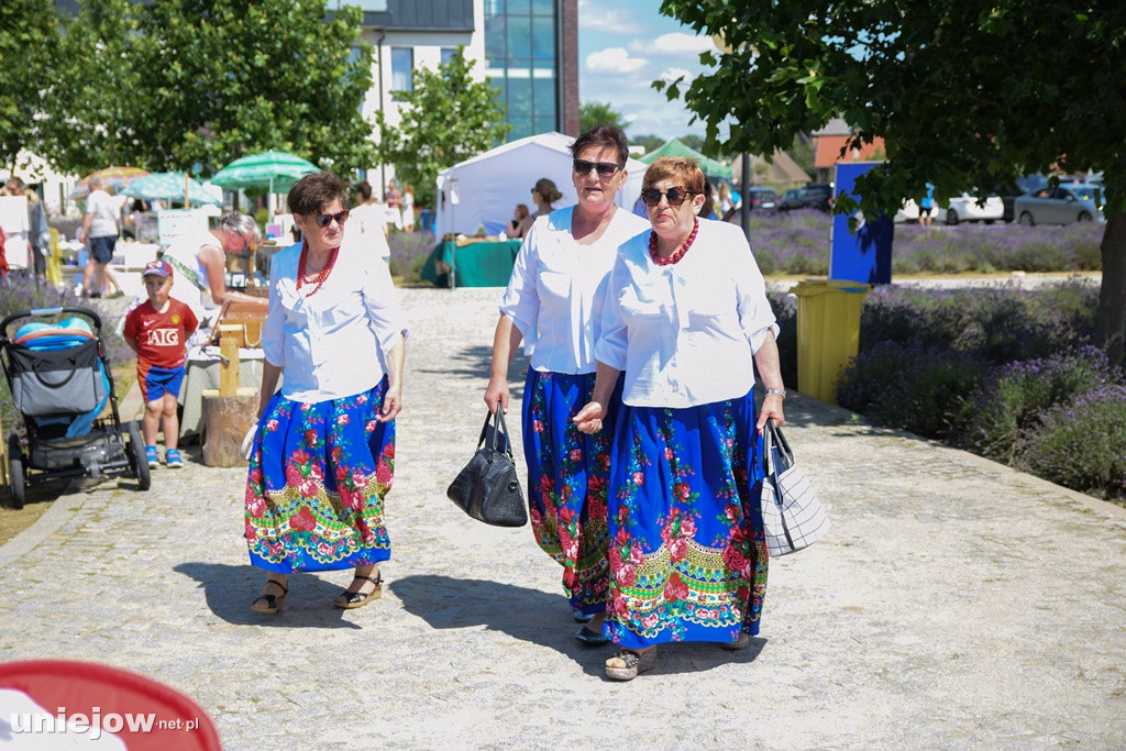 VII Festiwal Lawendy