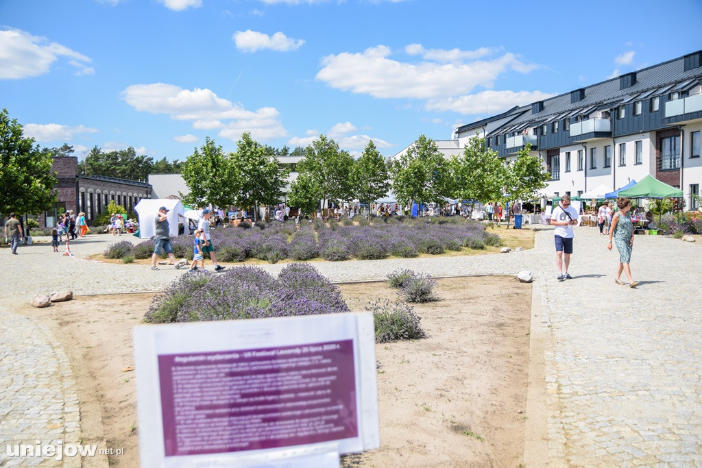 VII Festiwal Lawendy