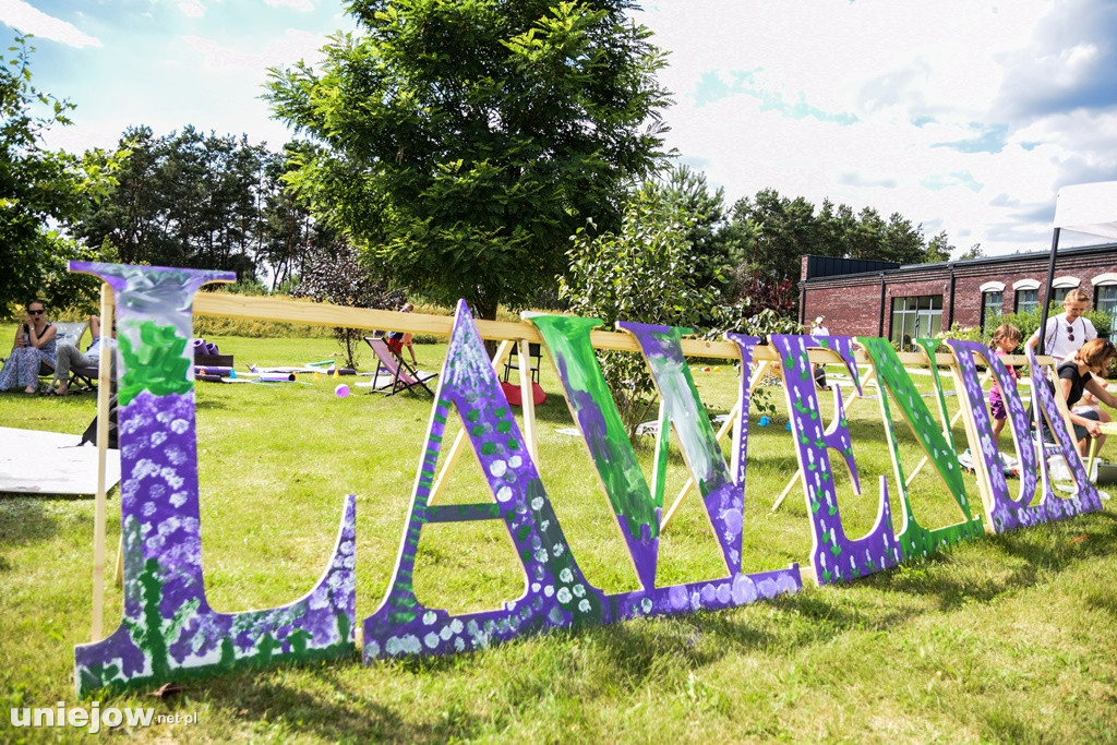VII Festiwal Lawendy
