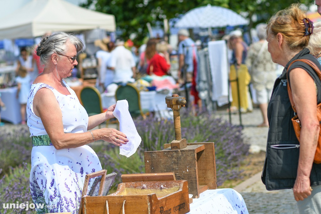 VII Festiwal Lawendy