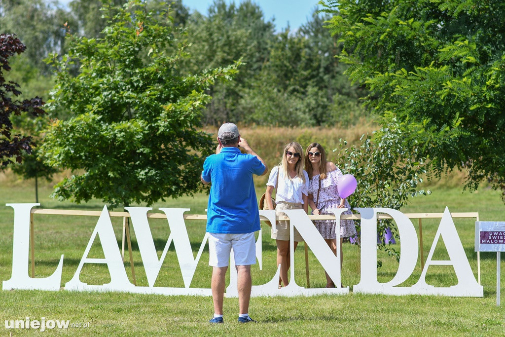 VII Festiwal Lawendy