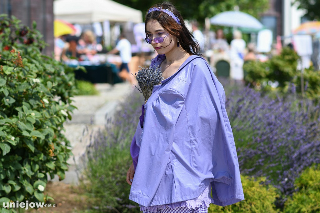 VII Festiwal Lawendy