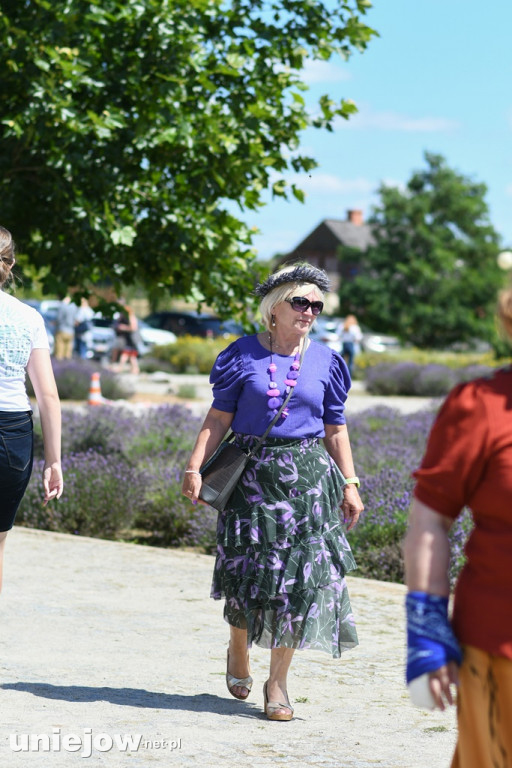 VII Festiwal Lawendy