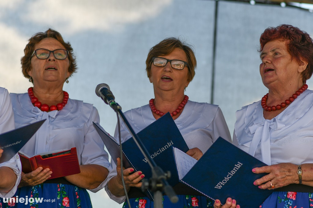 VII Festiwal Lawendy