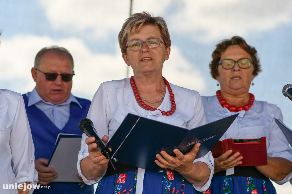VII Festiwal Lawendy