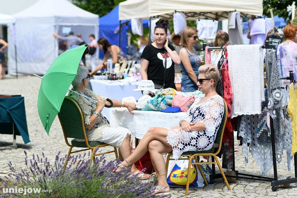 VII Festiwal Lawendy
