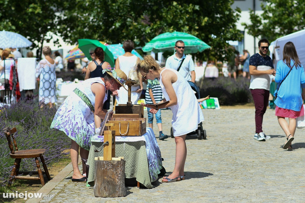 VII Festiwal Lawendy