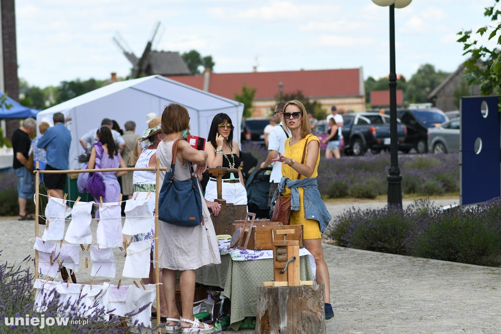 VII Festiwal Lawendy
