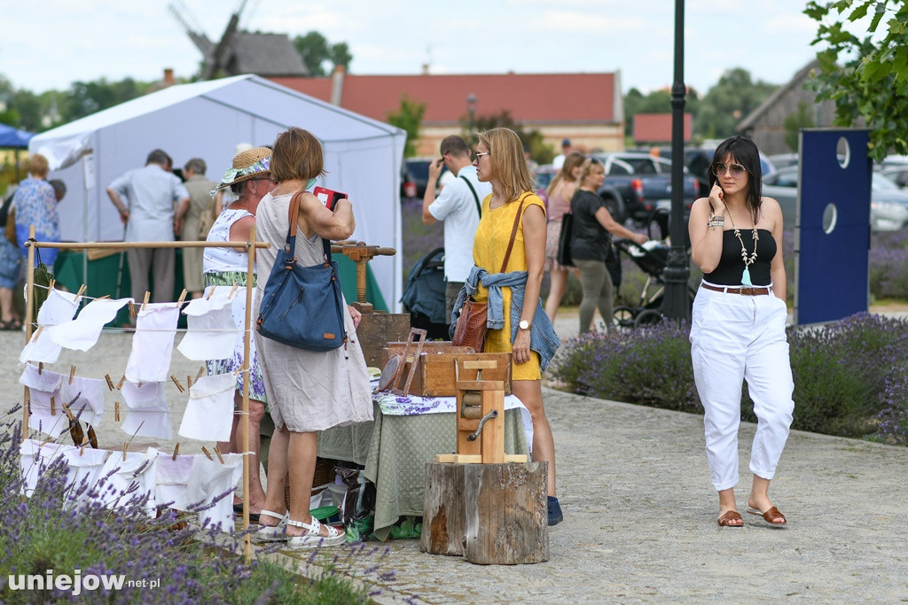 VII Festiwal Lawendy