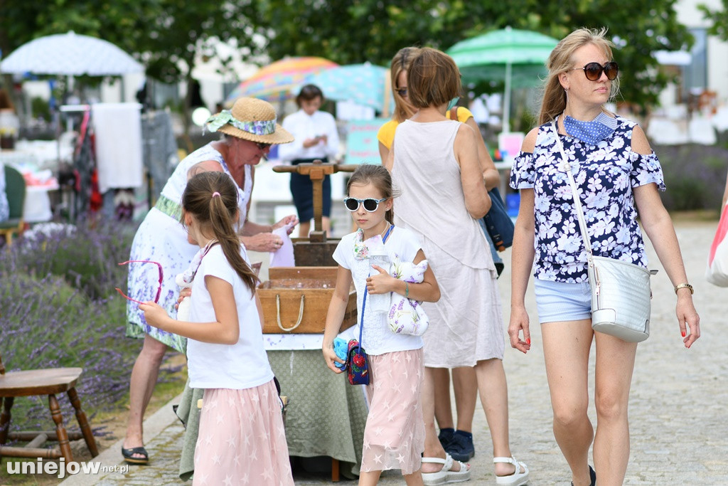 VII Festiwal Lawendy