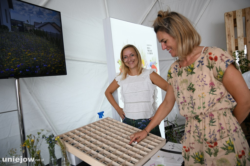 Ekomiasteczko Earth Festival 2020