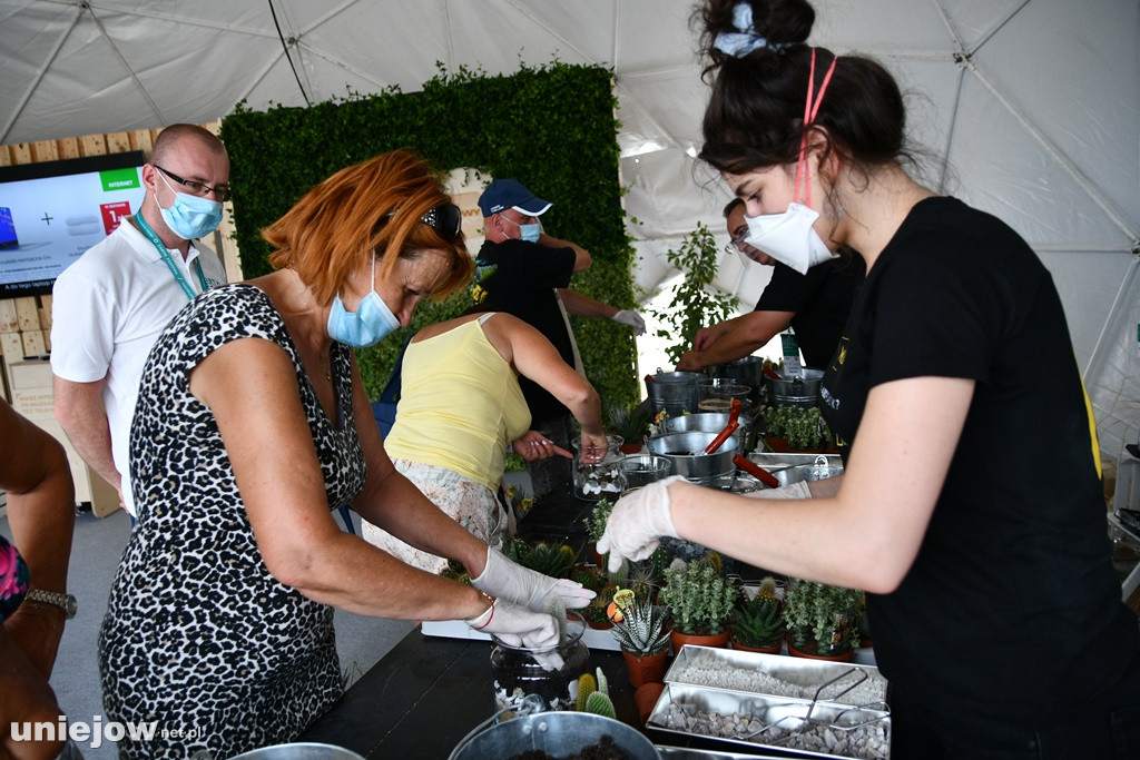 Ekomiasteczko Earth Festival 2020