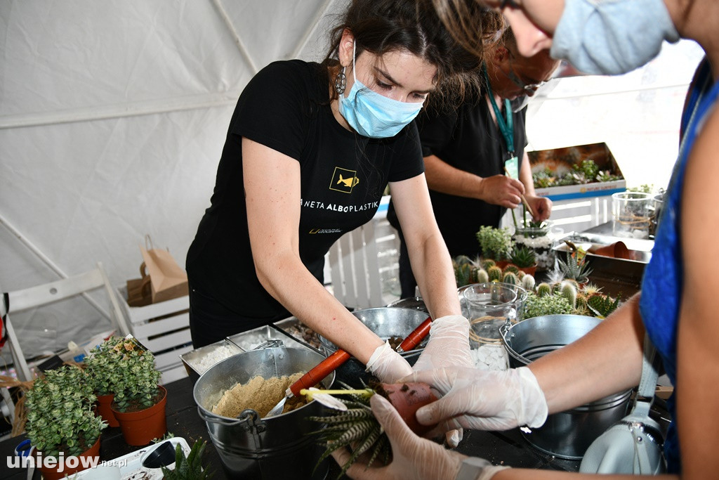 Ekomiasteczko Earth Festival 2020
