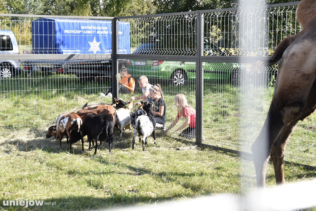 Dożynki Województwa Łódzkiego w Uniejowie
