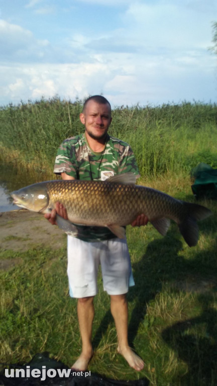 Takie ryby łowią wędkarze z uniejowskiego koła