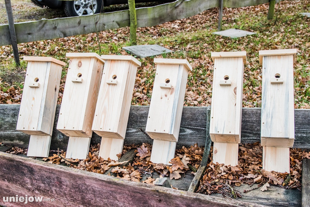 Kto został Mistrzem uniejowskiego koła wędkarskiego