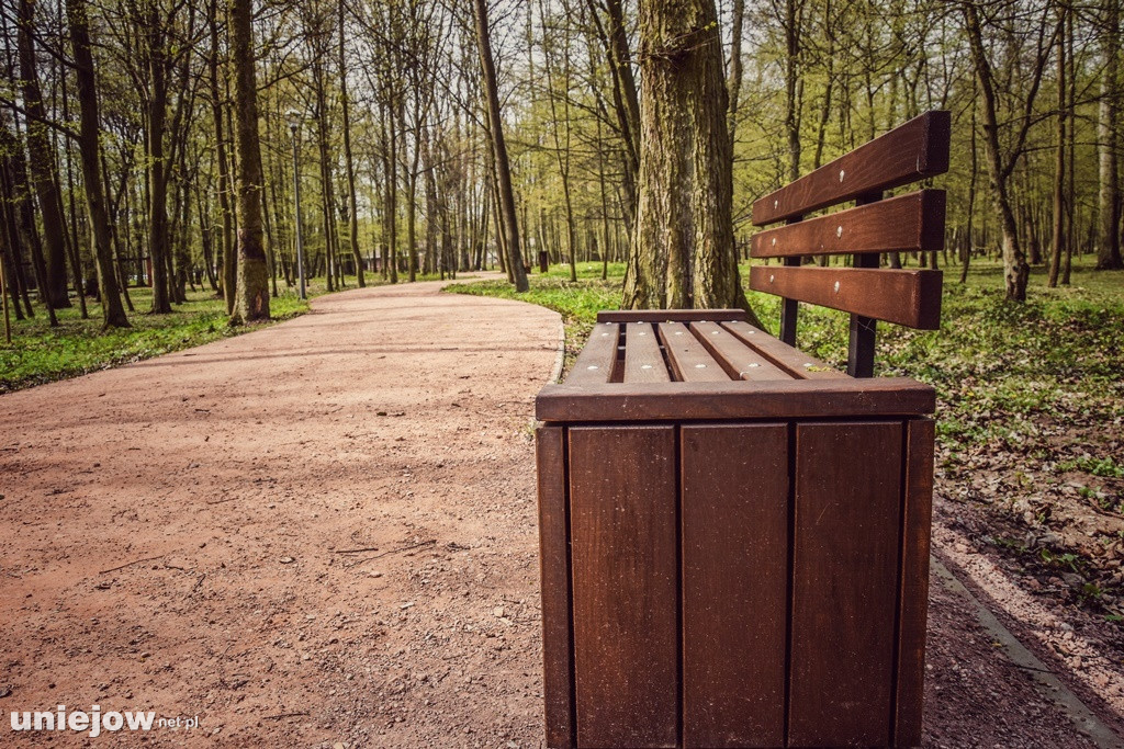 Zamkowy park po metamorfozie