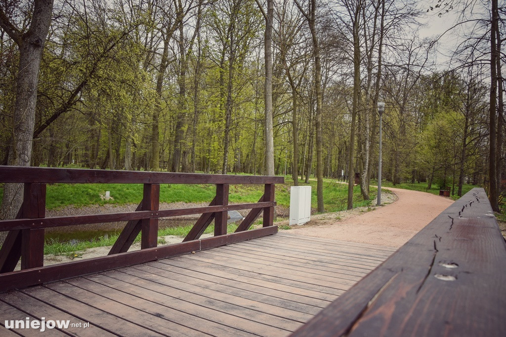 Zamkowy park po metamorfozie