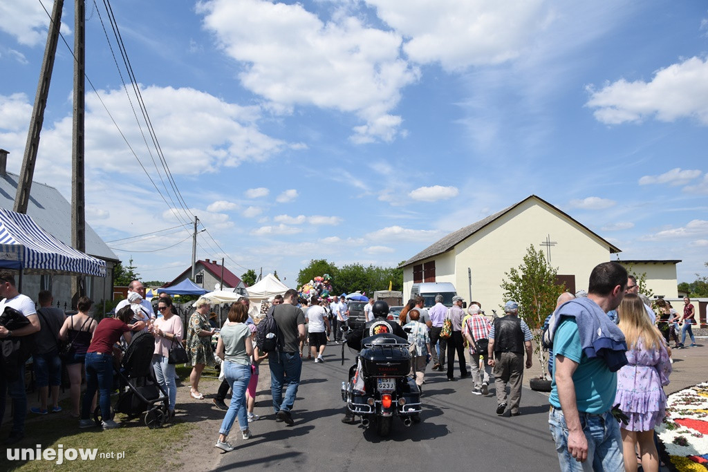 Kwietne dywany w Spycimierzu 2021