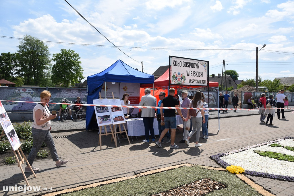 Kwietne dywany w Spycimierzu 2021